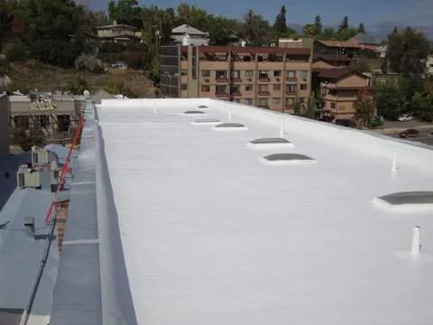 Single Ply Membrane